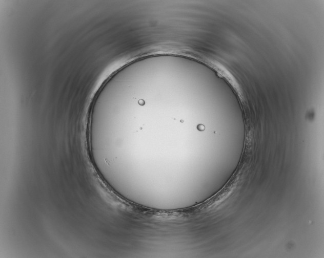 X0000097301146200803071747