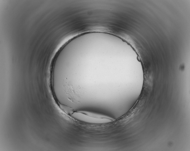 X0000097301147200803071747