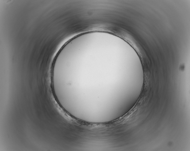 X0000097301148200803071747