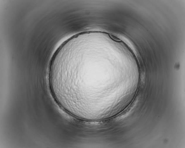 X0000097301149200803071747