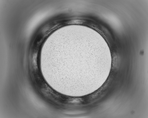 X0000097301150200803071747