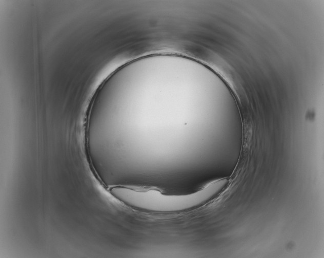 X0000097301151200803071747