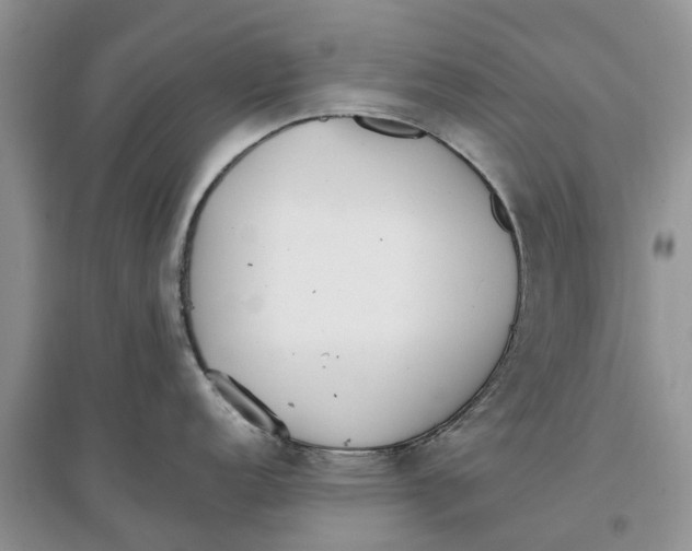 X0000097301152200803071747