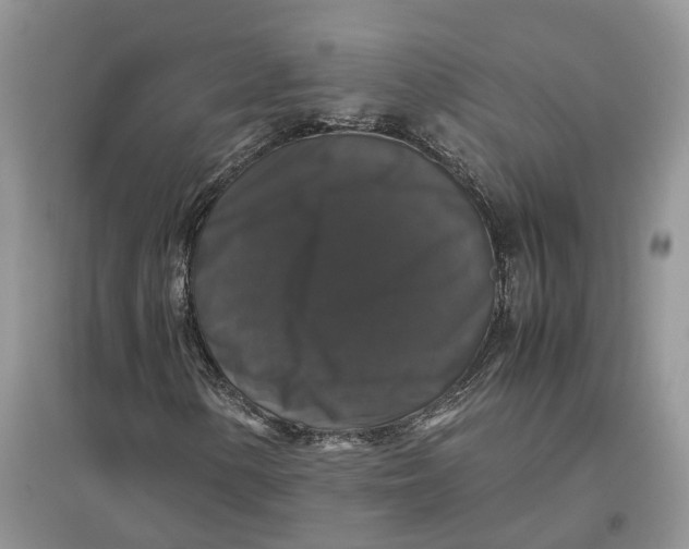 X0000097301154200803071746