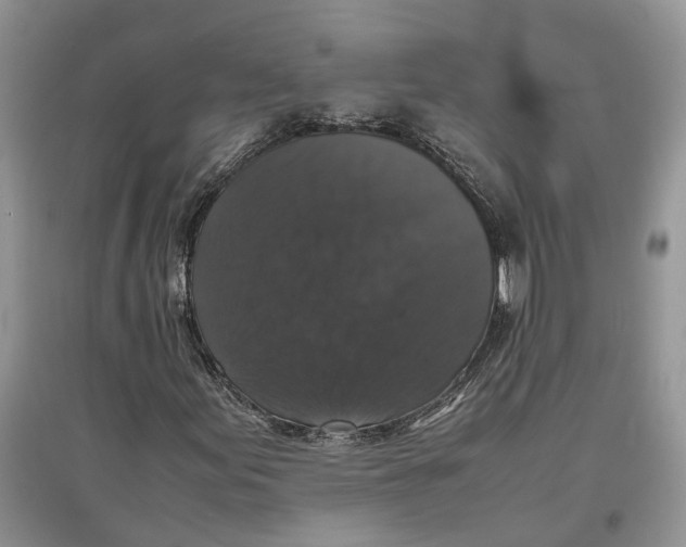 X0000097301155200803071746