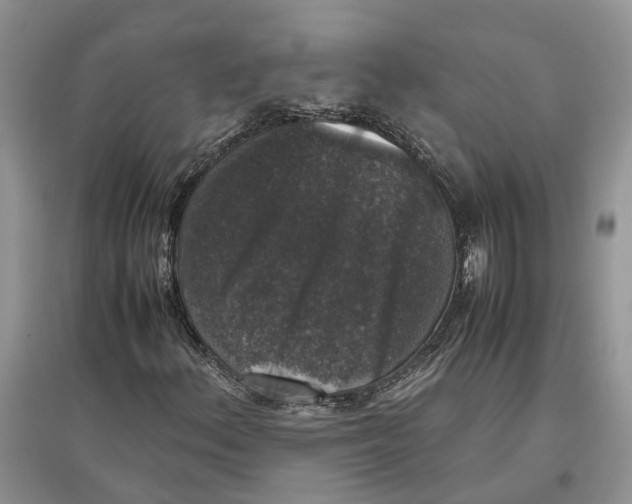 X0000097301156200803071746