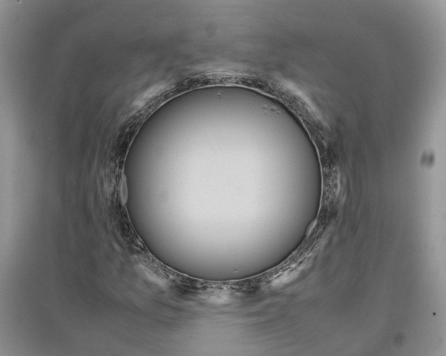 X0000097301157200803071746