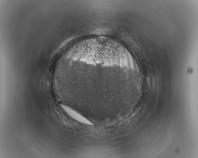 X0000097301158200803071746