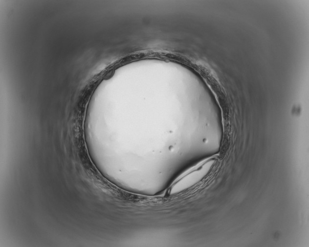 X0000097301159200803071746