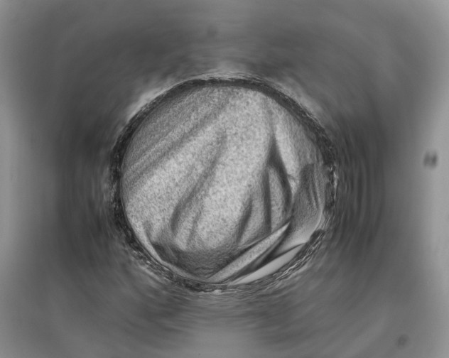 X0000097301160200803071746