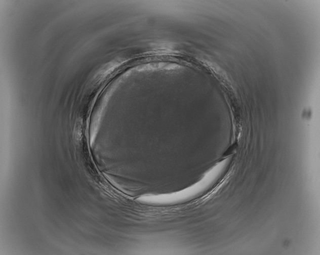 X0000097301161200803071746