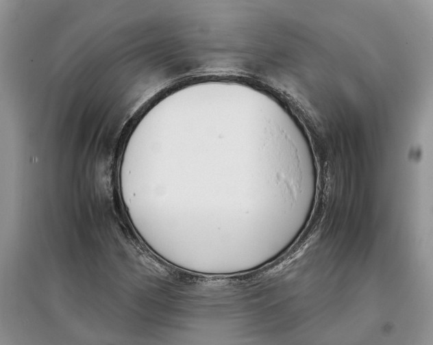 X0000097301162200803071746