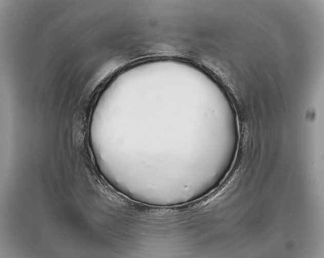 X0000097301163200803071746