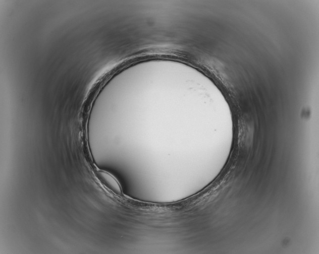 X0000097301164200803071746