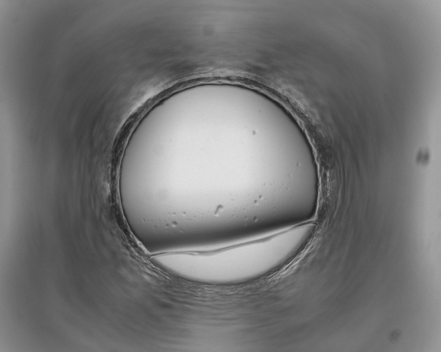 X0000097301165200803071746