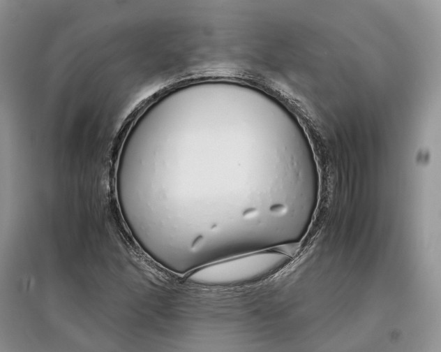 X0000097301166200803071746