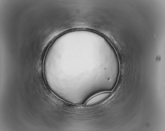 X0000097301167200803071746