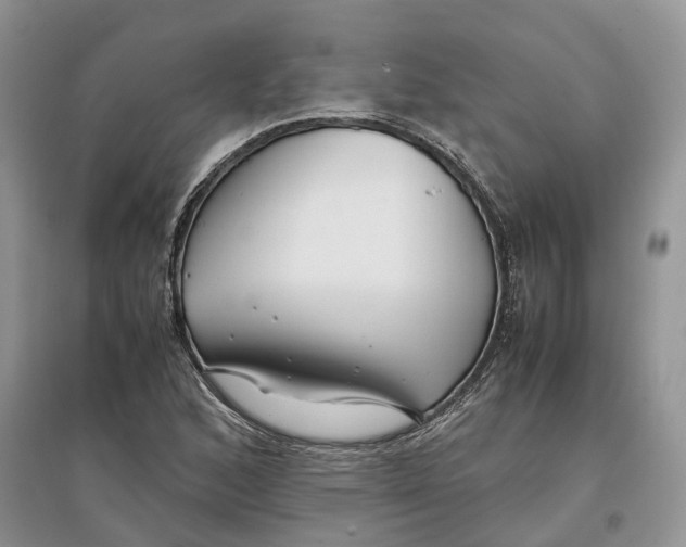 X0000097301168200803071746