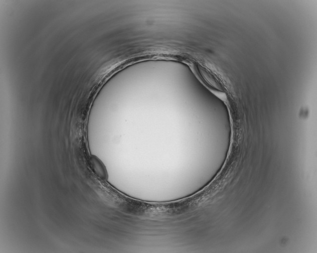 X0000097301169200803071746