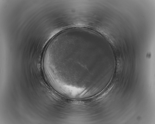 X0000097301170200803071746