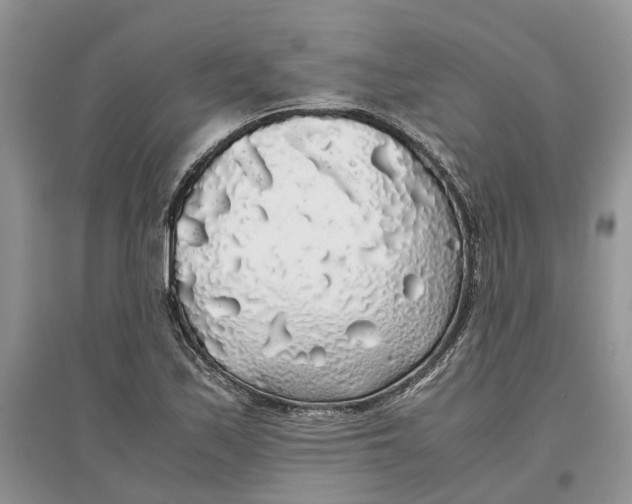 X0000097301171200803071746