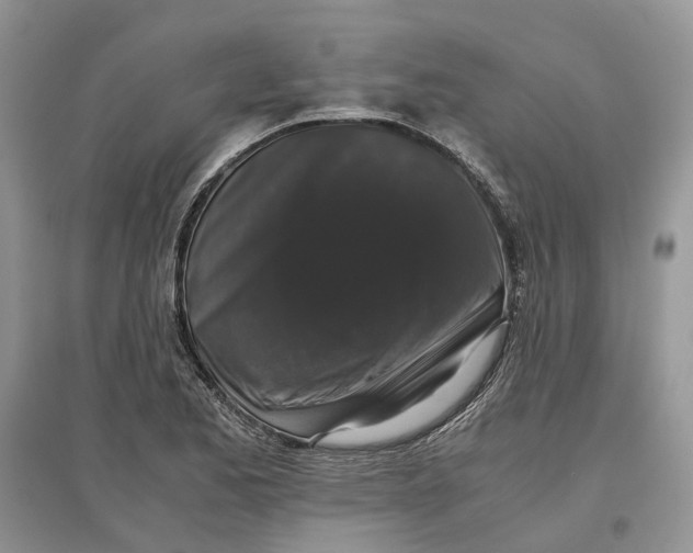 X0000097301173200803071746