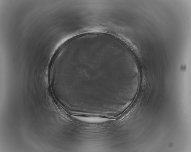 X0000097301174200803071746