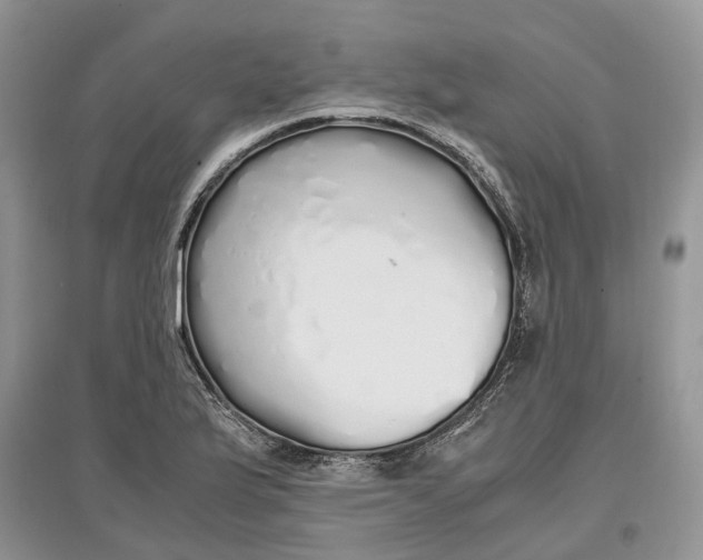 X0000097301175200803071746