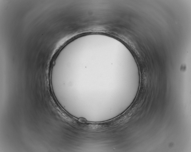 X0000097301176200803071746