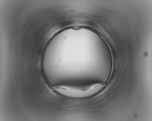 X0000097301177200803071746