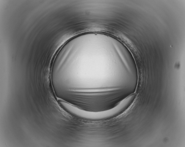 X0000097301178200803071746