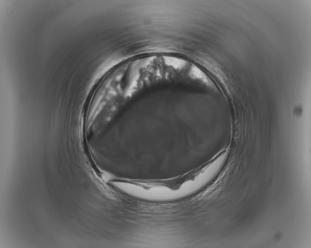 X0000097301179200803071746