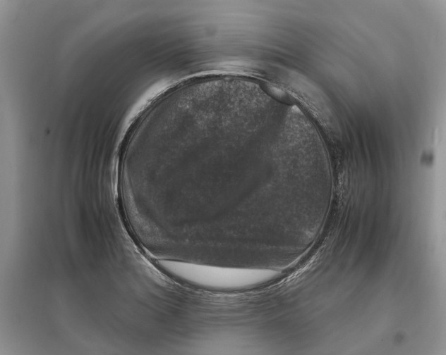 X0000097301180200803071746