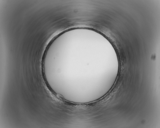 X0000097301181200803071746