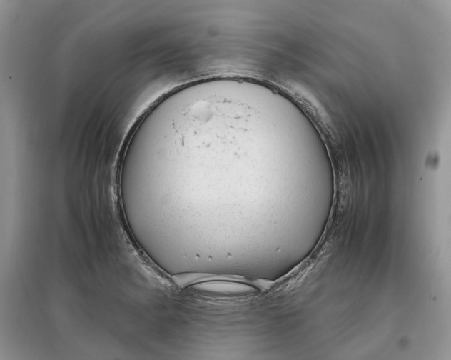 X0000097301182200803071746