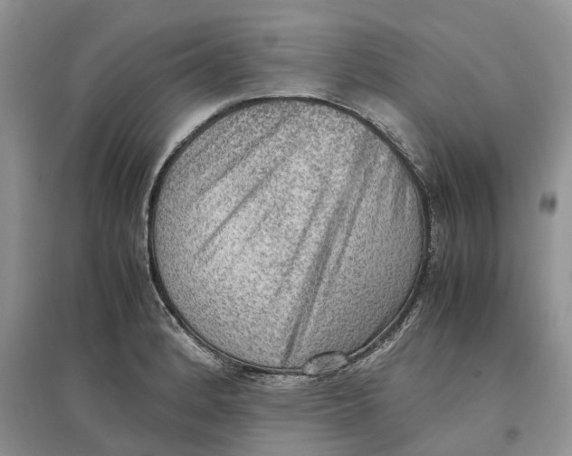 X0000097301184200803071746