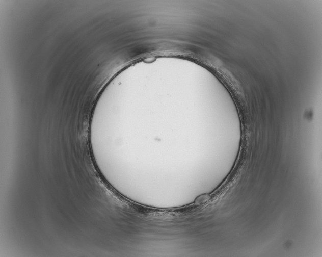 X0000097301185200803071746