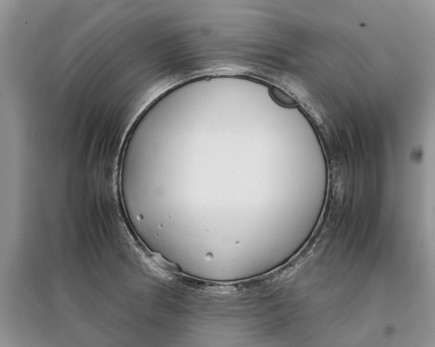 X0000097301186200803071746