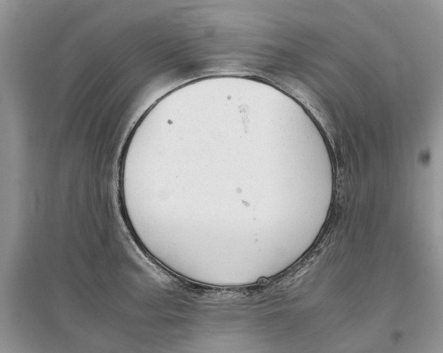 X0000097301187200803071746