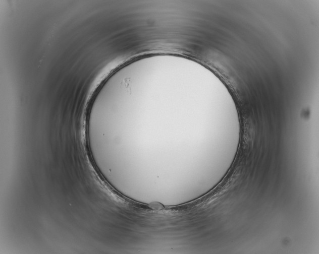 X0000097301188200803071746