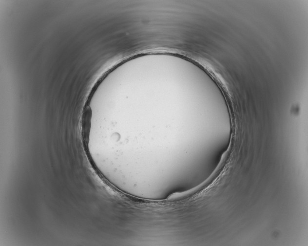 X0000097301189200803071746