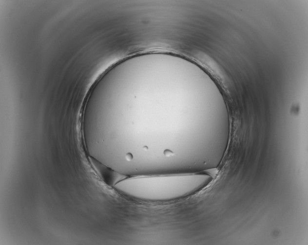 X0000097301190200803071746