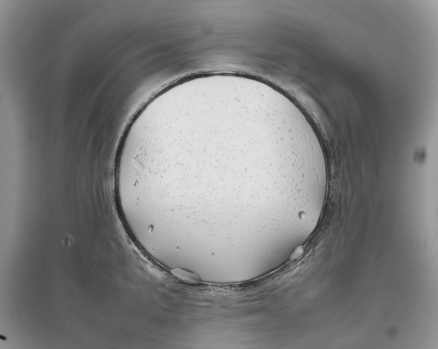 X0000097301191200803071746