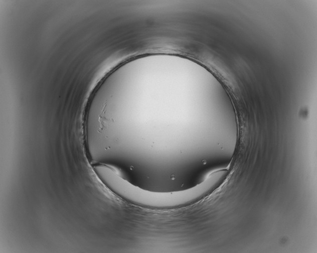 X0000097301192200803071746