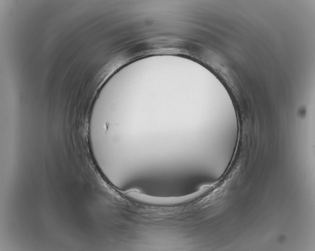 X0000097301193200803071746