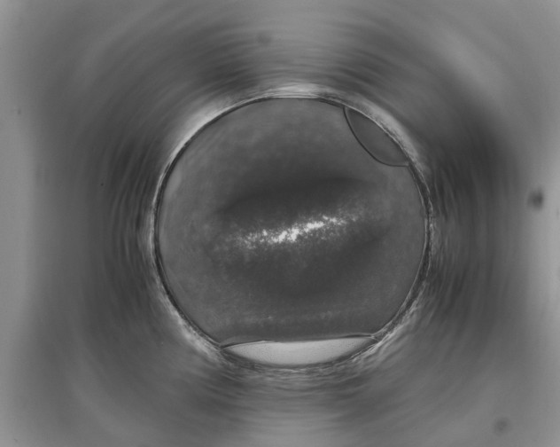 X0000097301194200803071746