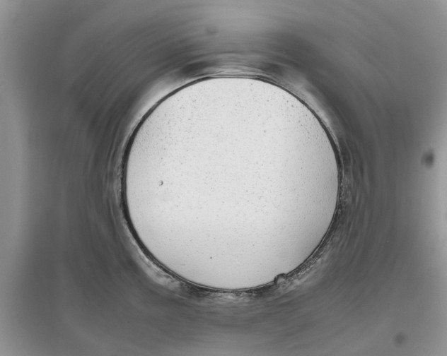 X0000097301195200803071746