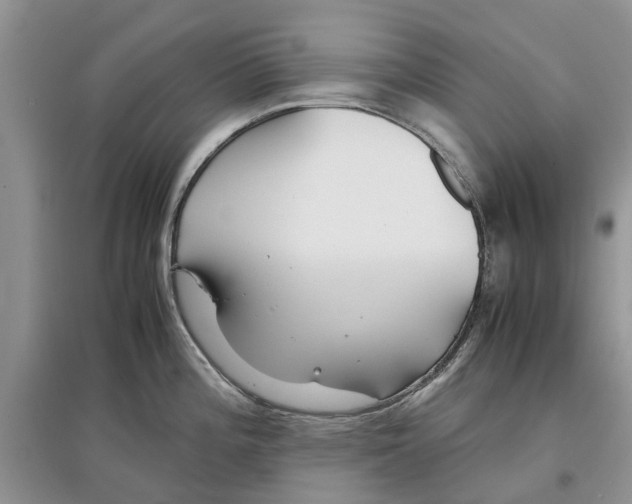 X0000097301196200803071746