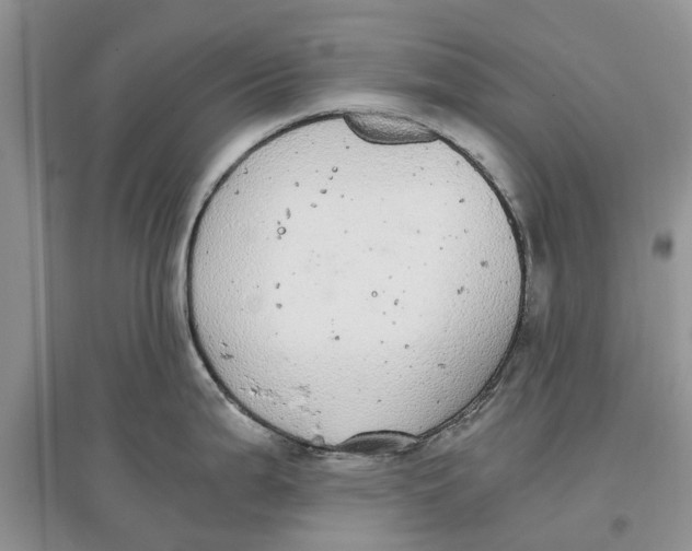 X0000097301199200803071746