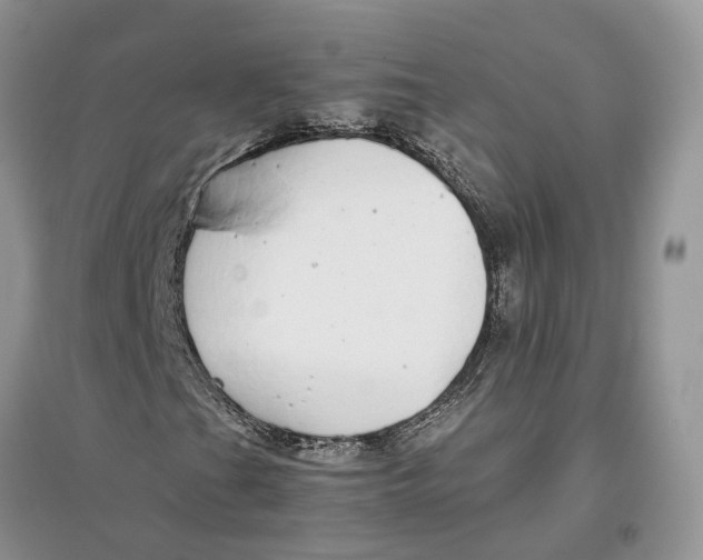 X0000097301201200803071745